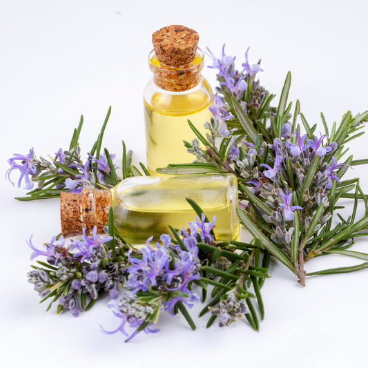 Crafting Your Own Rosemary Oil: A DIY Guide